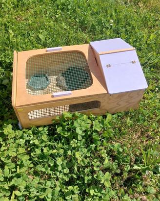 TERRARIO PER TARTARUGHE CON ACCESSORI PER CIBO