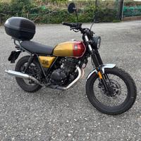 BRIXTON CROMWELL 250