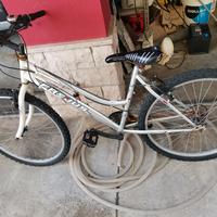 Bici Mtb