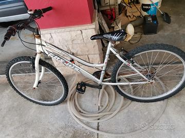 Bici Mtb