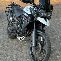 Tiger 800 xcx