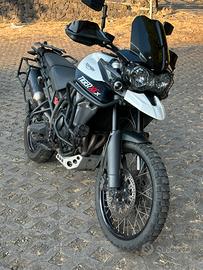 Tiger 800 xcx