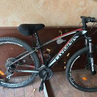 MTB Olympia Drake 29” – Front, freni a disco, otti