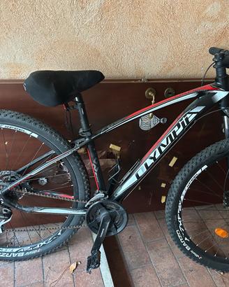 MTB Olympia Drake 29” – Front, freni a disco, otti