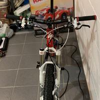 Mtb S Works XC full carbon top di gamma