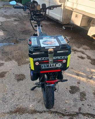 bici electrica 
