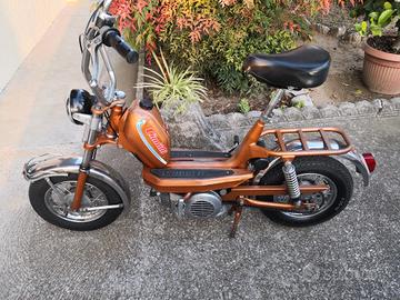 mini chic Cimatti v1