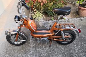 mini chic Cimatti v1