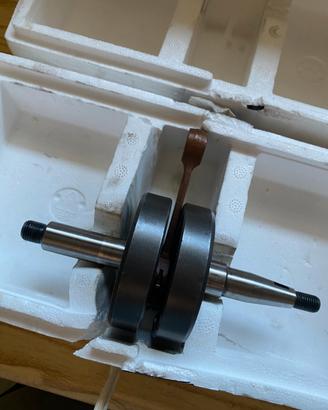 Albero spalle piene carenzi corsa standard