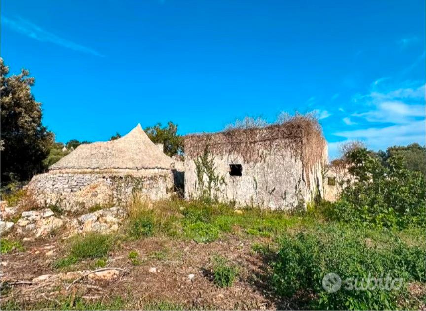 Trulli con torretta in pietra su terreno Monopoli - Vista 3