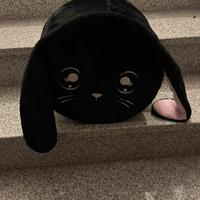 Na na na surprise black bunny