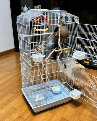 GABBIA PAPPAGALLI COCORITE CALOPSITI con accessori