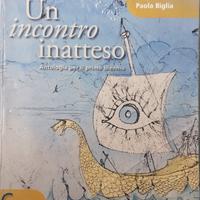 Un incontro inatteso c