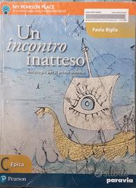 Un incontro inatteso c