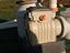 Immagine 3