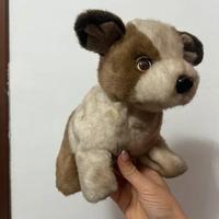 Peluche Cagnolino Bianco e Marrone - Morbido e Ten