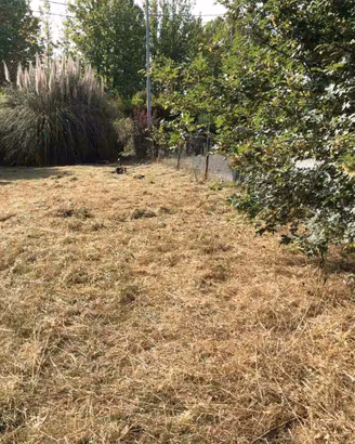 Cascina - Giardino di 250 mq