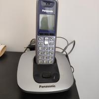 Cordless Panasonic 