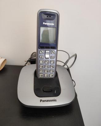 Cordless Panasonic 