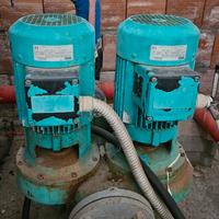 pompa wilo dpn  65/125