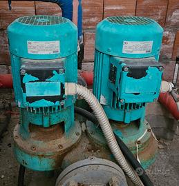 pompa wilo dpn  65/125