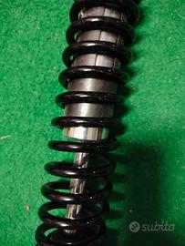 Ammortizzatori x Harley D. 1200