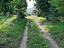 Immagine 12