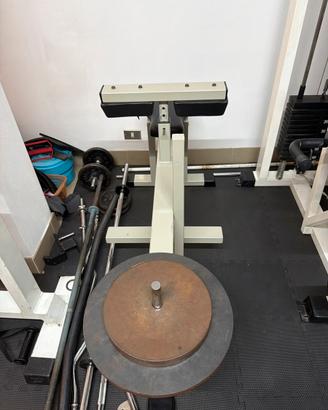 Calf machine Panatta