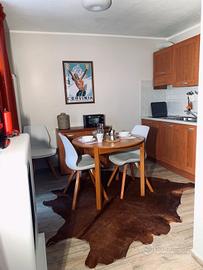 Monolocale sulle piste