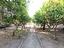 Immagine 12