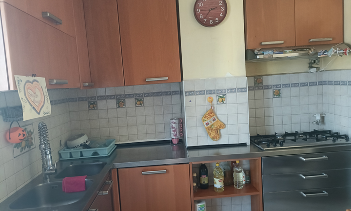 Vendita alloggio venaria