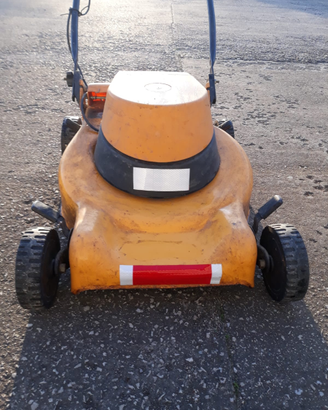 Taglia erba elettrico