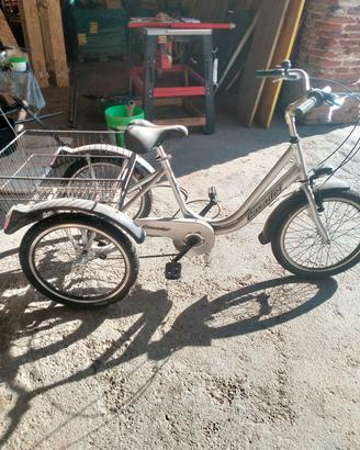 bicicletta triciclo con carrello 