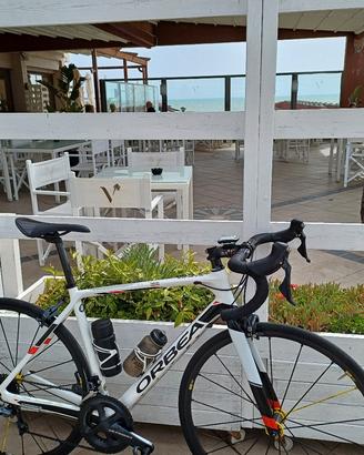 orbea carbonio