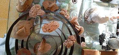 Collezione Rose del deserto