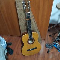 Chitarra acustica eko