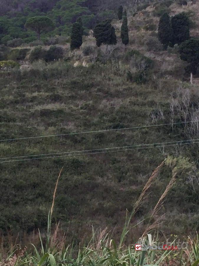 Terreno in contrada Messinese rif. AZO-5025 - Vista 3