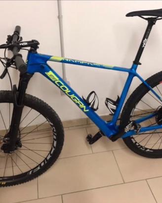 MTB 29 carbonio