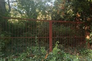 Terreno agricolo da coltivare