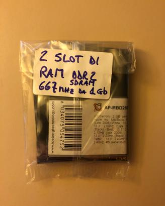 2 slot RAM da 1 GB