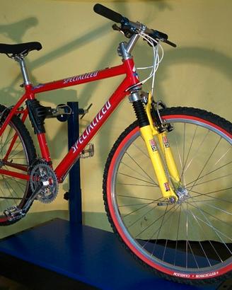 Specialized S-Works Team M2