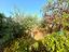 Immagine 22