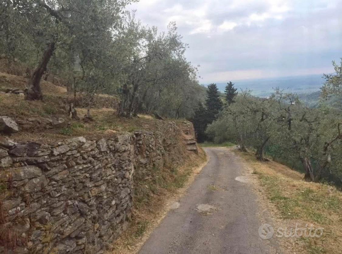 Terreno ad Oliveta vista panoramica - Vista 3