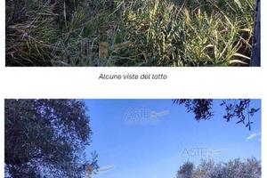 Terreno Agricolo Montesilvano [A4323879]