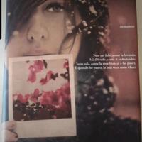 Libro. Il Linguaggio Segreto dei Fiori