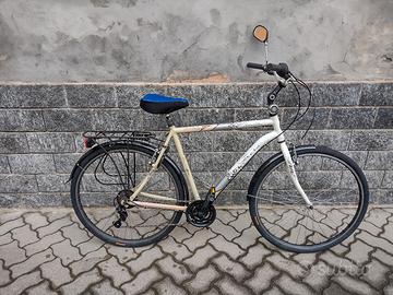 bicicletta da uomo.