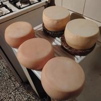 forme di formaggio 