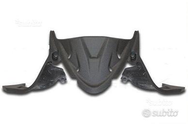 Paratia strumentazione carbonio DUCATI PANIGALE 89