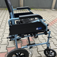 Carrozzina pet disabile