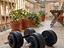 Immagine 2